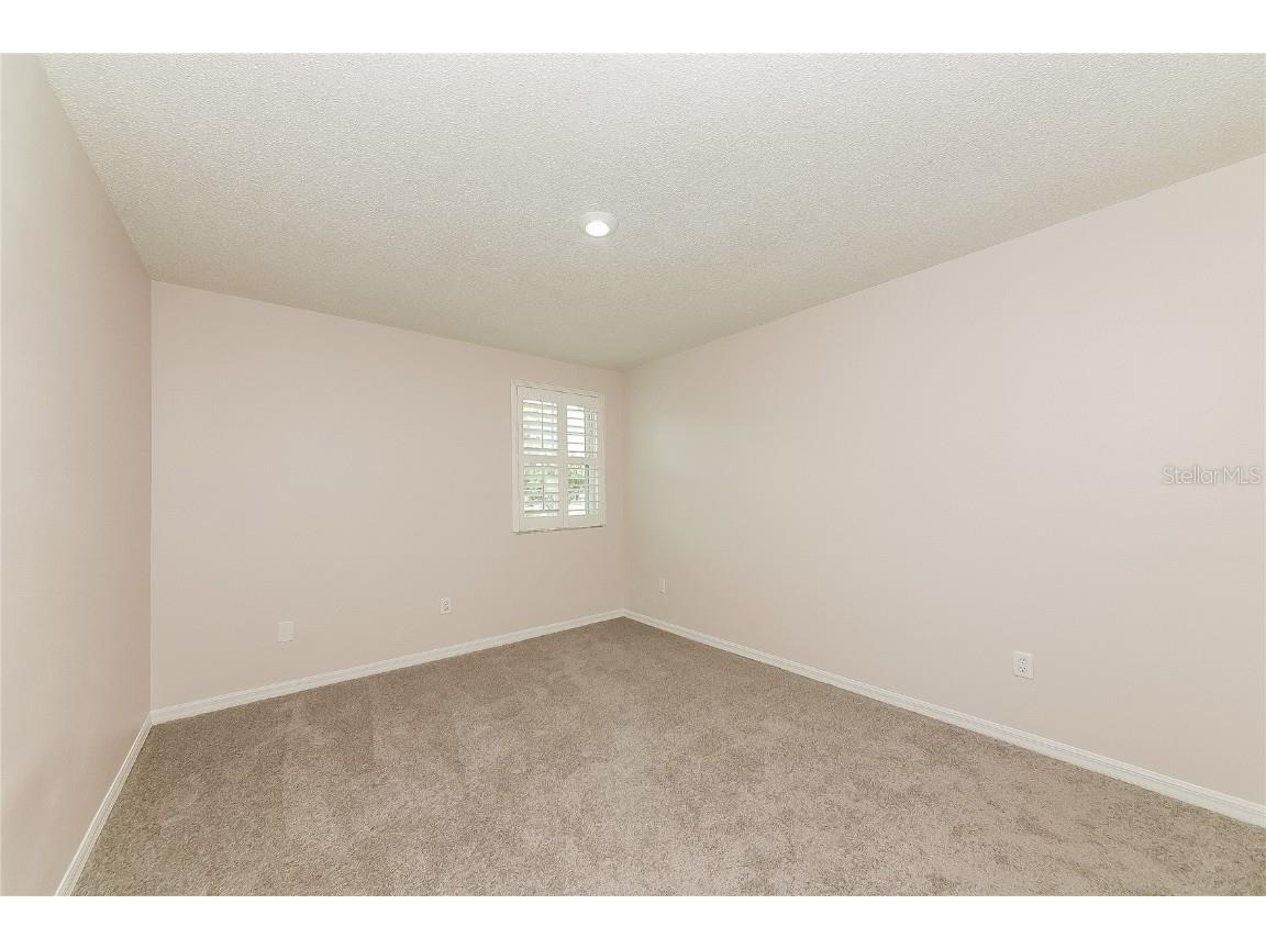 10144 Tarragon Drive Riverview FL 33569 TB8444194 image14