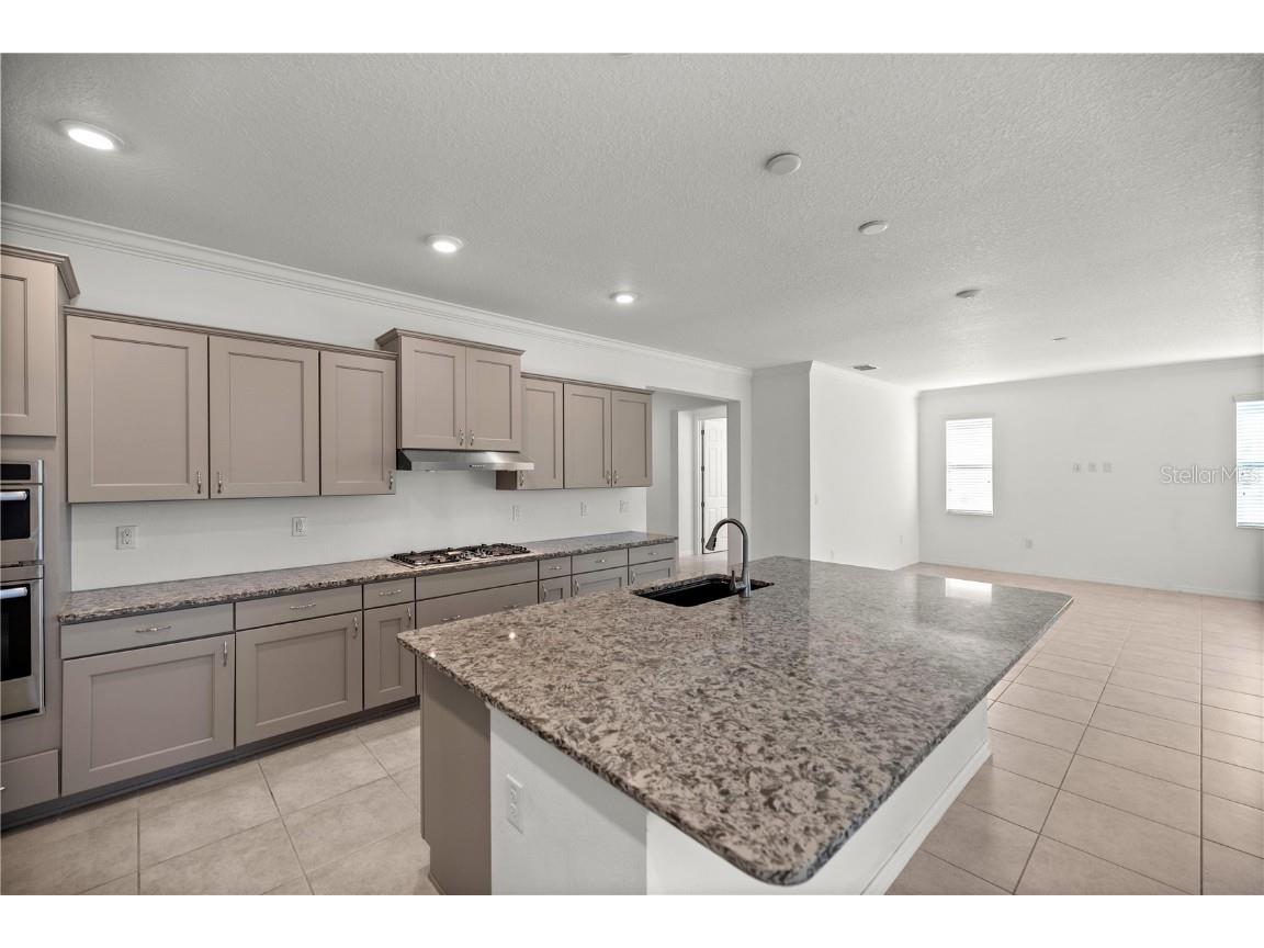 10145 SW 89th Loop Ocala FL 34481 OM679694 image6