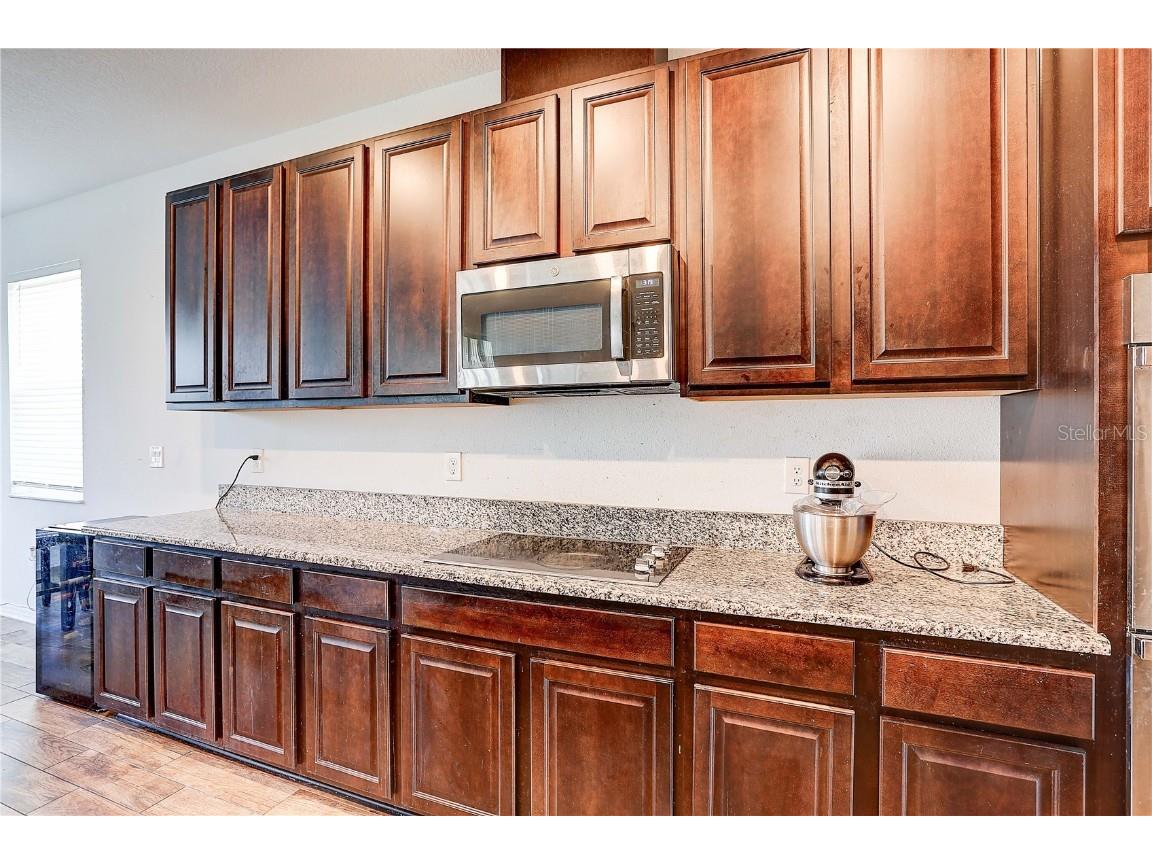 10146 Tuscan Sun Avenue Riverview FL 33578 TB8405825 image11