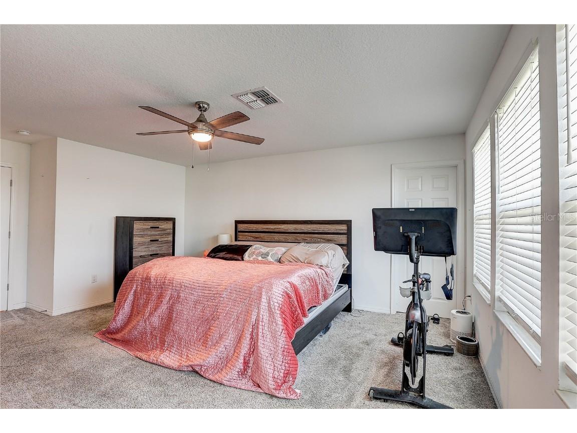 10146 Tuscan Sun Avenue Riverview FL 33578 TB8405825 image18