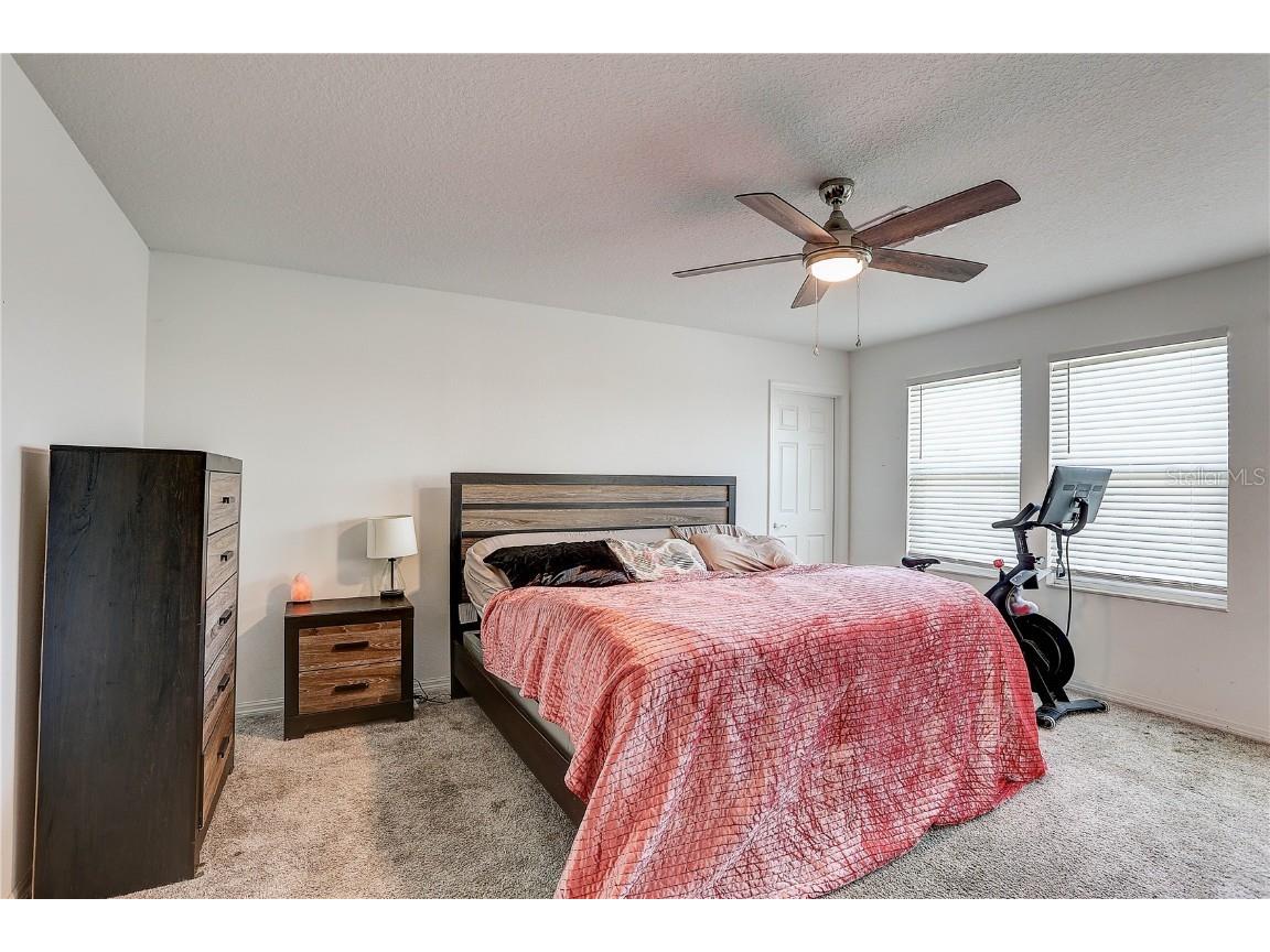 10146 Tuscan Sun Avenue Riverview FL 33578 TB8405825 image19