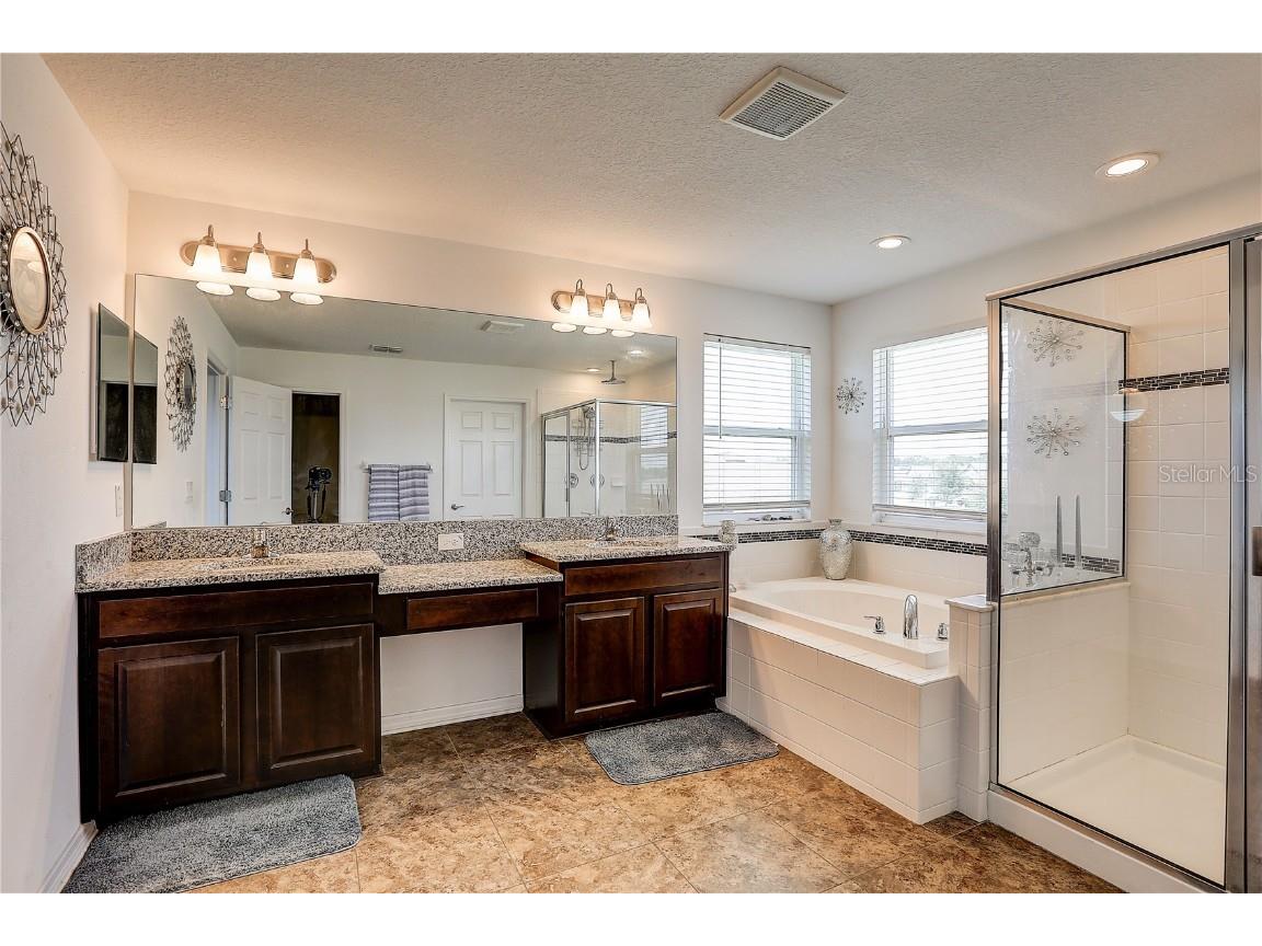 10146 Tuscan Sun Avenue Riverview FL 33578 TB8405825 image21