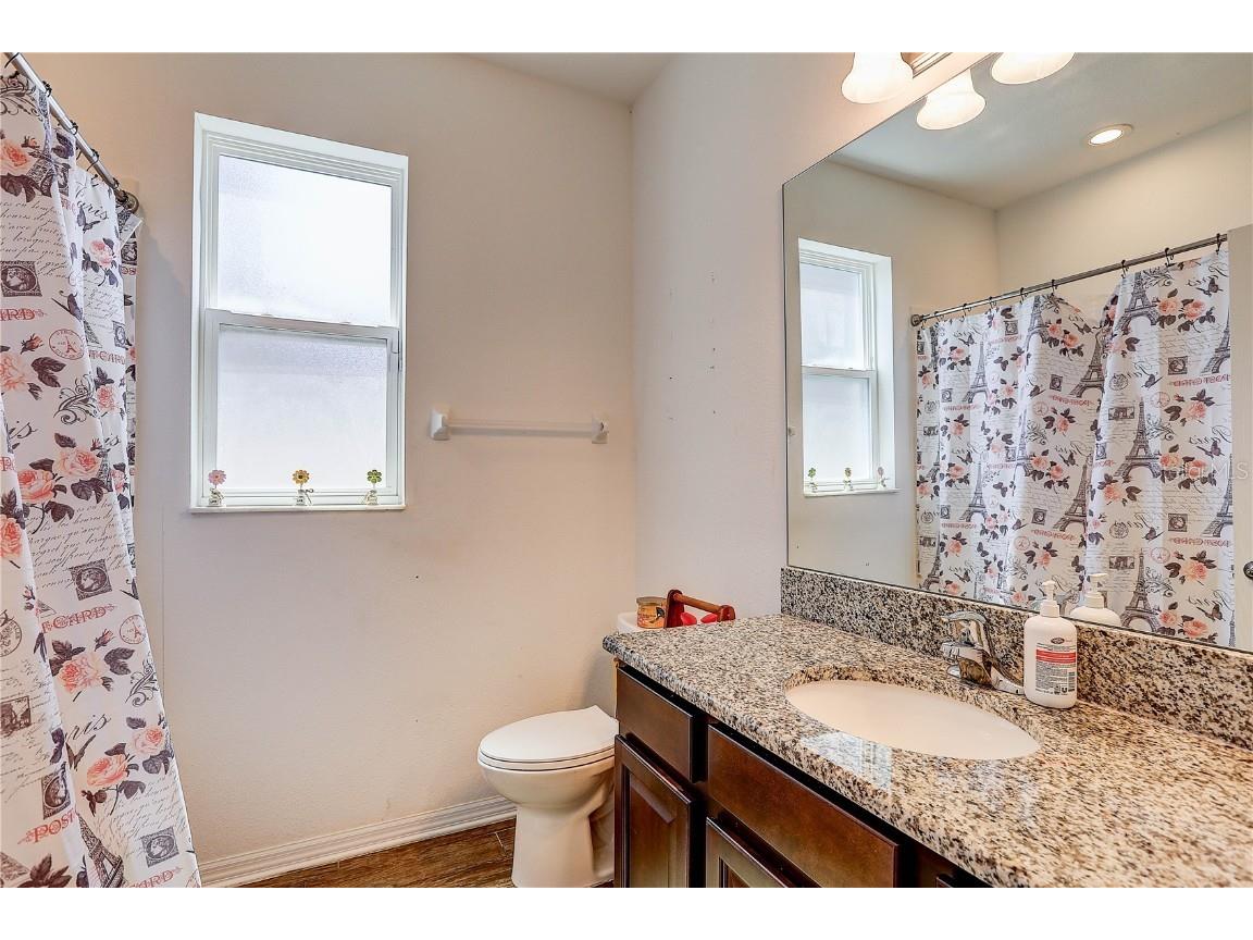 10146 Tuscan Sun Avenue Riverview FL 33578 TB8405825 image24