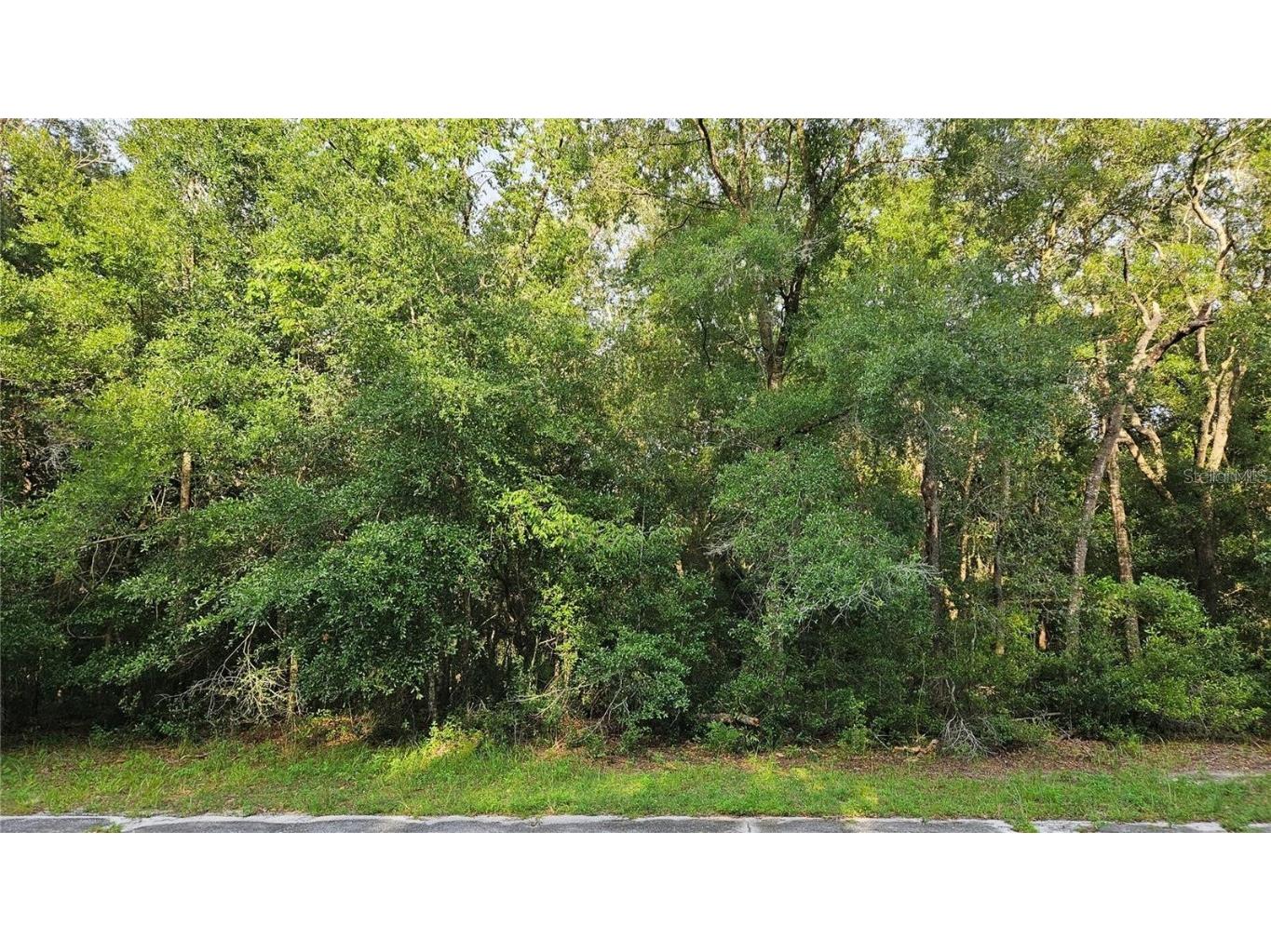 10147 N Dyal Drive Citrus Springs FL 34434 OM704741 image3