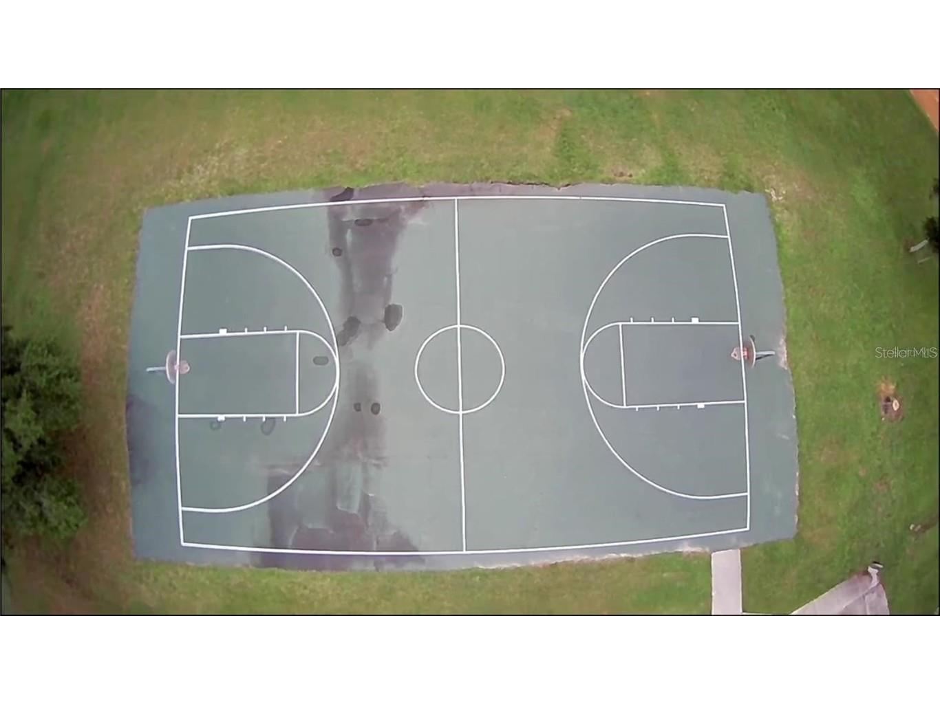 10147 N Dyal Drive Citrus Springs FL 34434 OM704741 image9