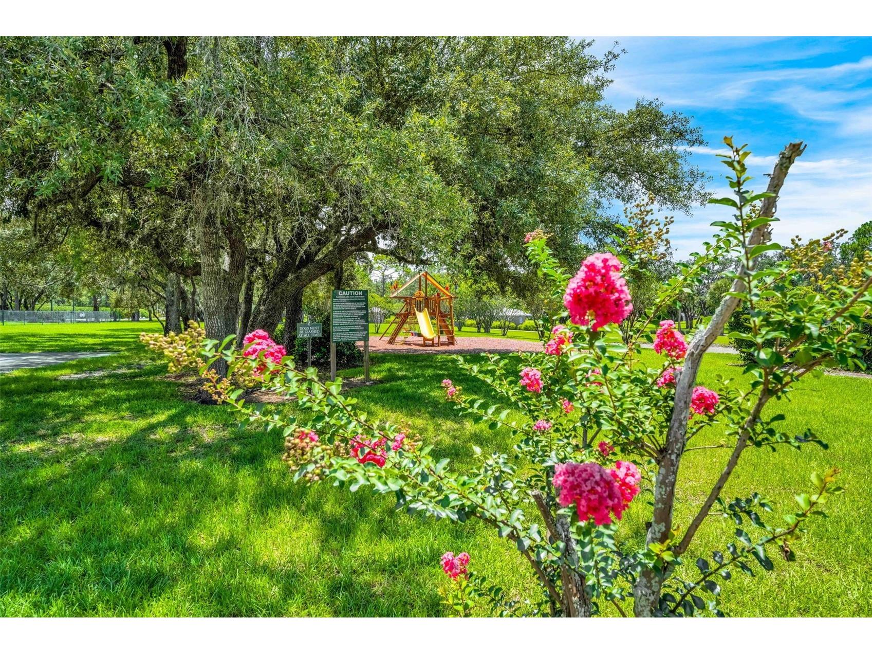 10148 Duffy Circle Weeki Wachee FL 34613 TB8461990 image10