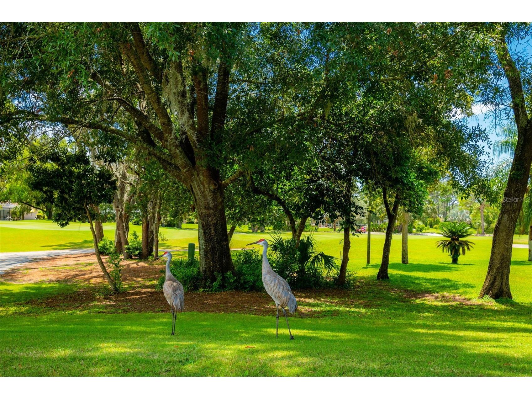 10148 Duffy Circle Weeki Wachee FL 34613 TB8461990 image18