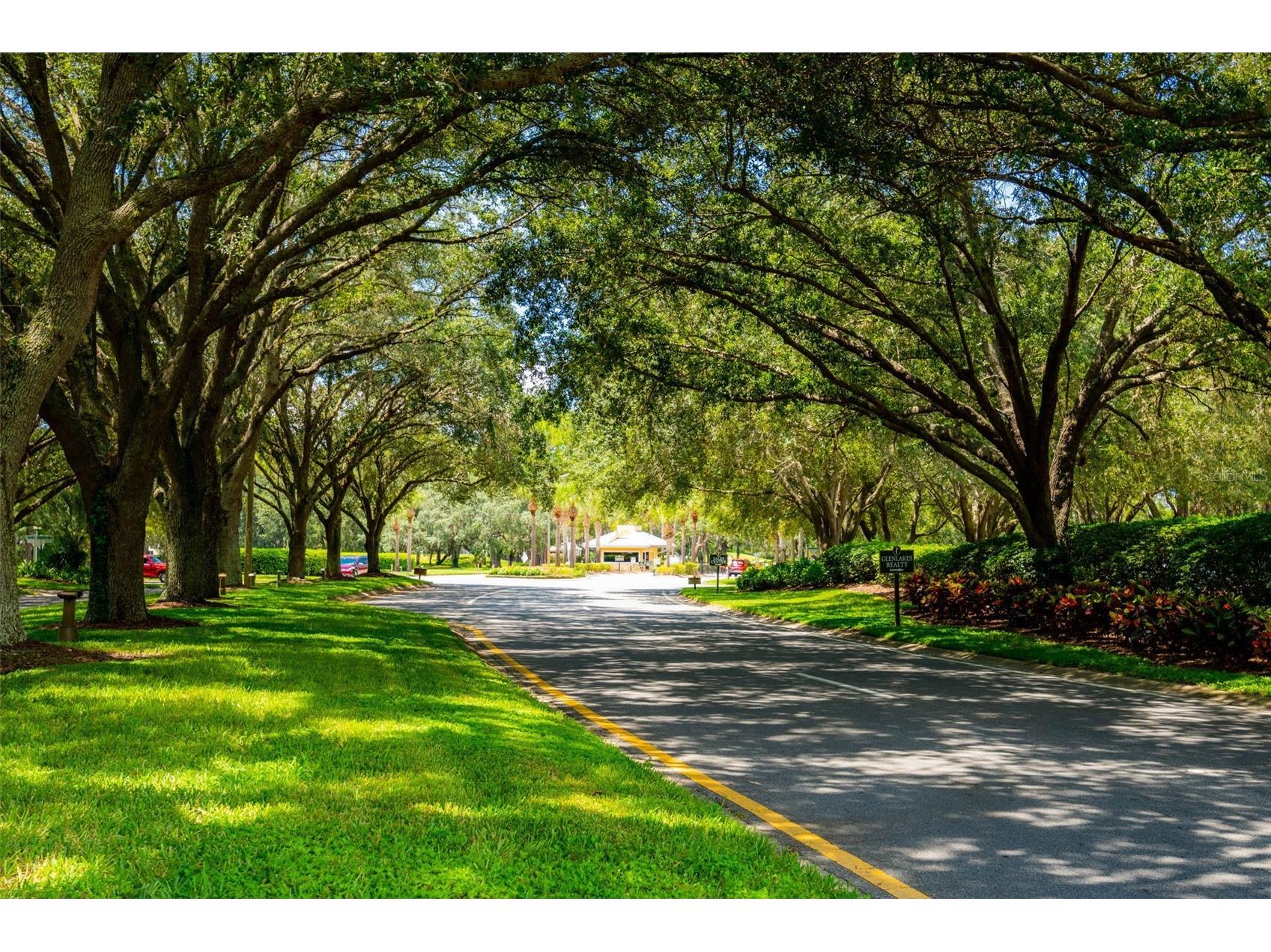 10148 Duffy Circle Weeki Wachee FL 34613 TB8461990 image20