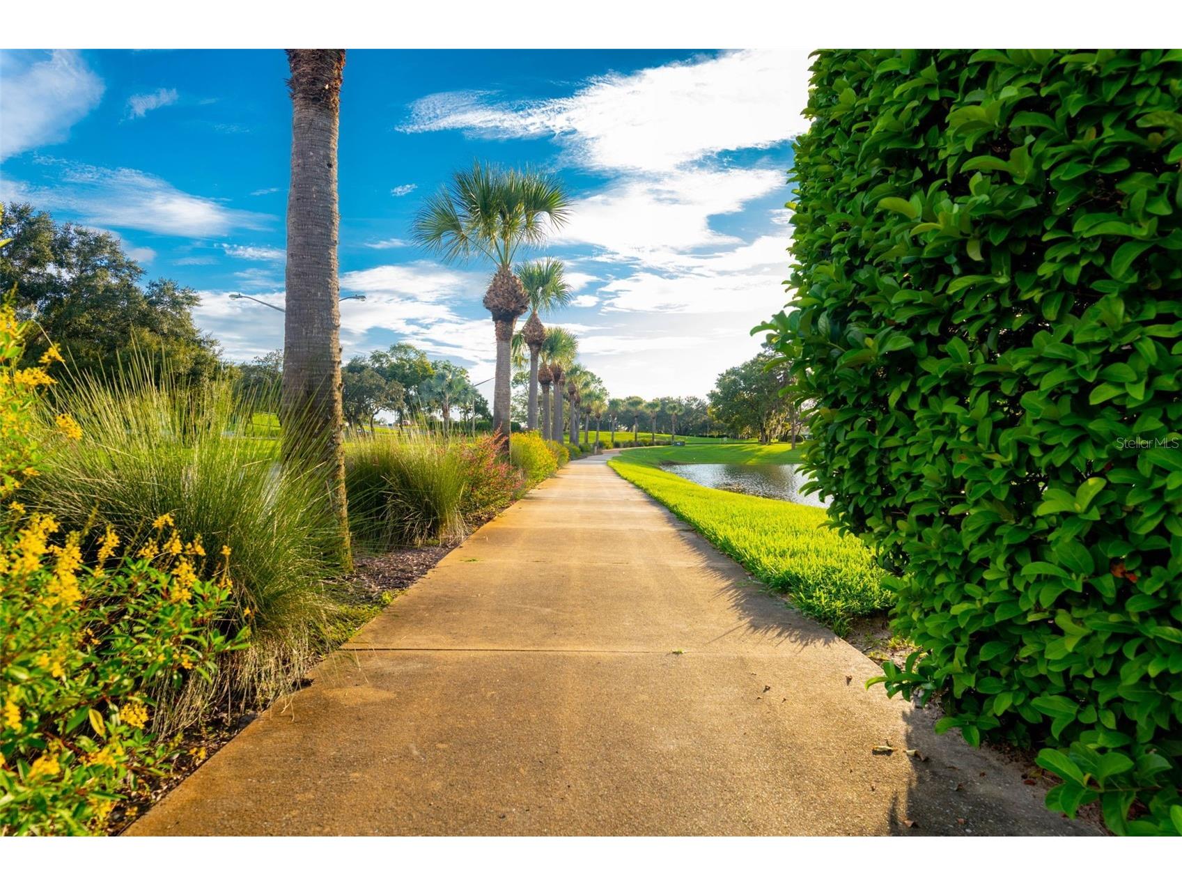 10148 Duffy Circle Weeki Wachee FL 34613 TB8461990 image26