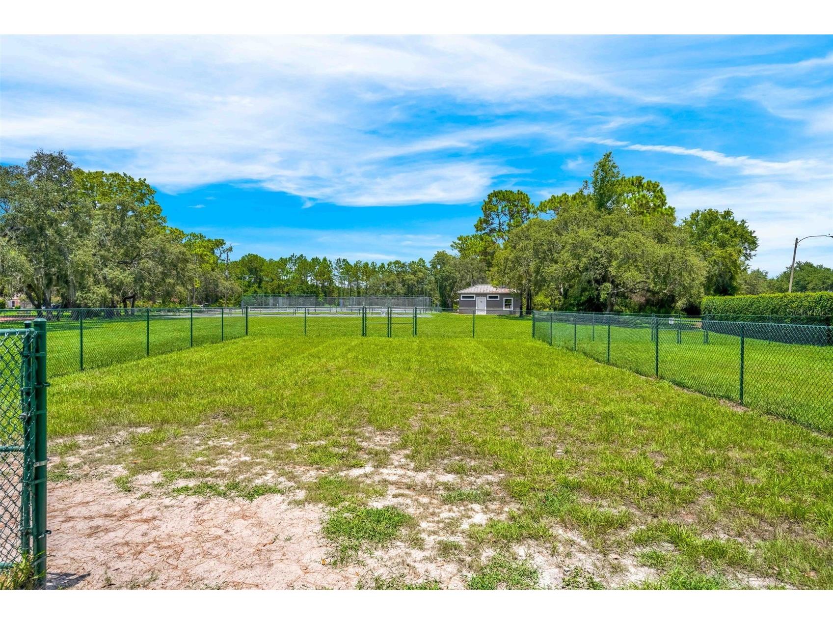 10148 Duffy Circle Weeki Wachee FL 34613 TB8461990 image7