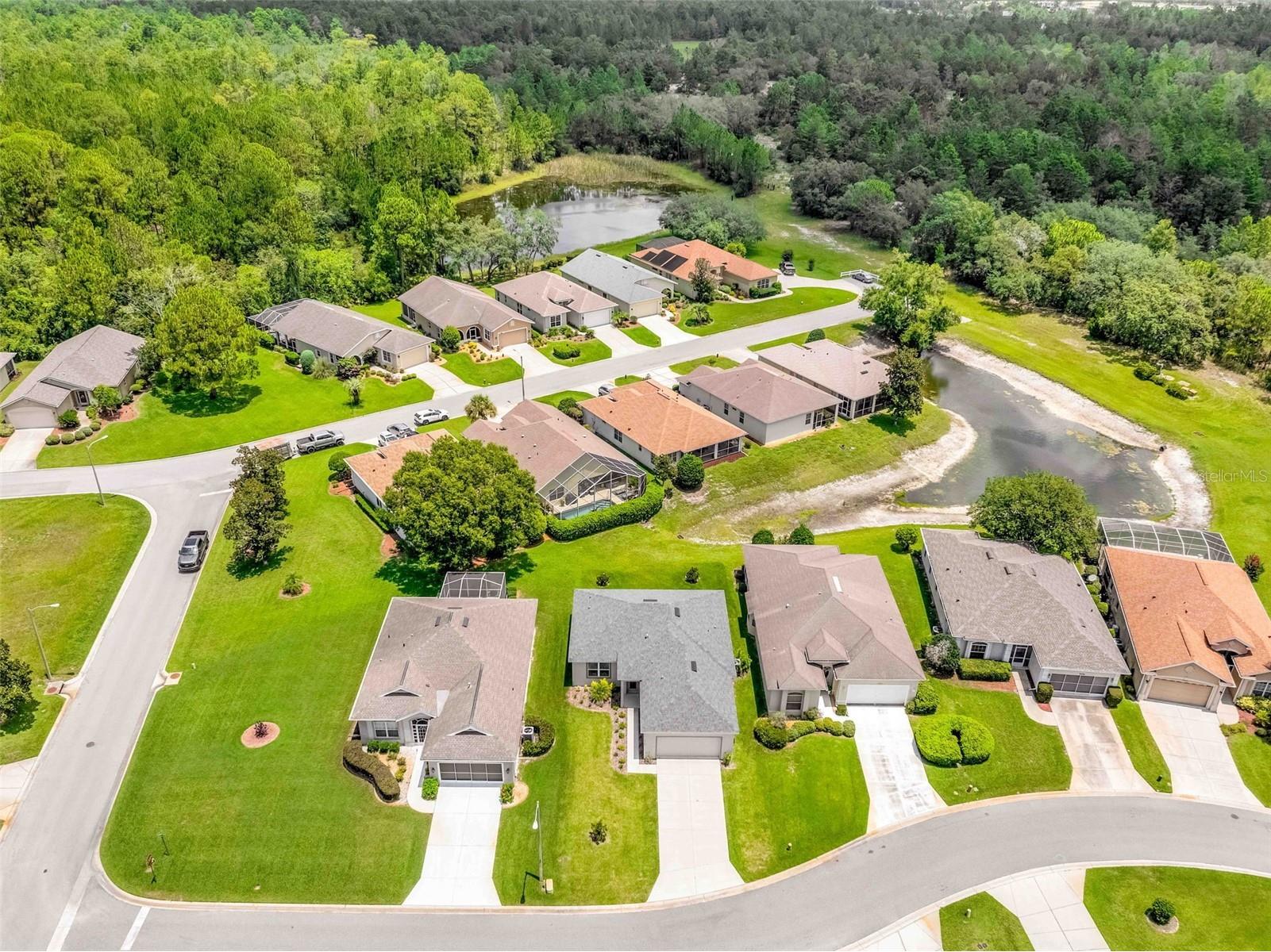 10148 Duffy Circle Weeki Wachee FL 34613 TB8461990 image72