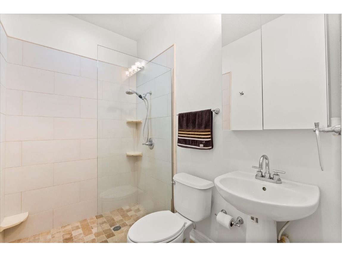 10148 Malpas Point Orlando FL 32832 O6368519 image9