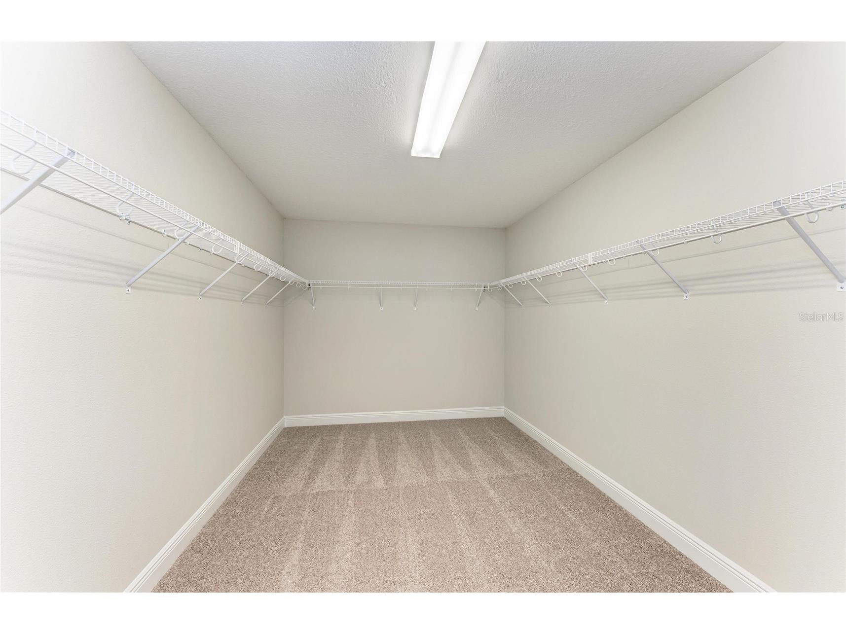 10148 Surrey Rose Drive San Antonio FL 33576 TB8447378 image7