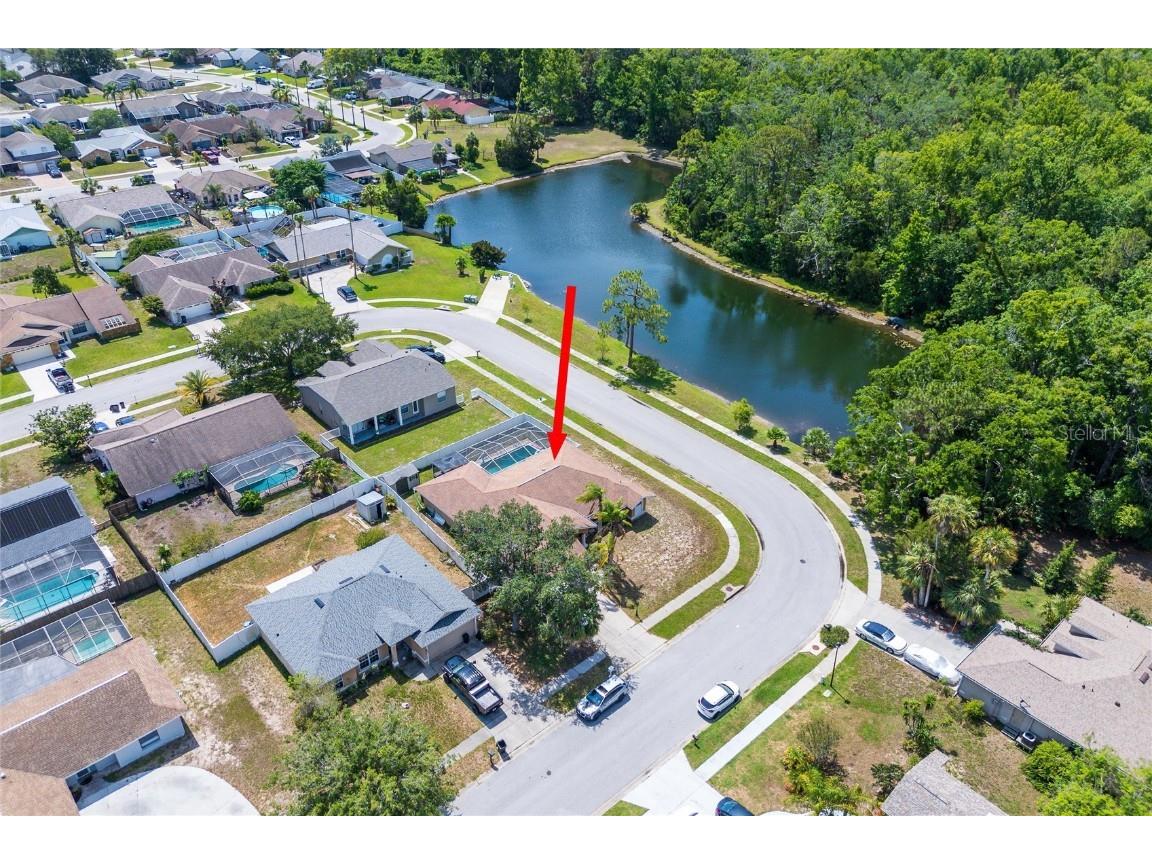 10149 Briar Circle Hudson FL 34667 TB8461836 image34