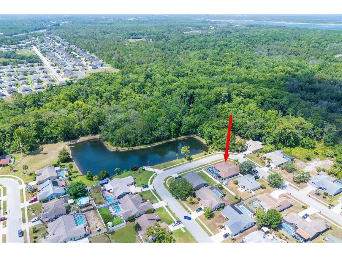 10149 Briar Circle Hudson FL 34667 TB8461836 image35