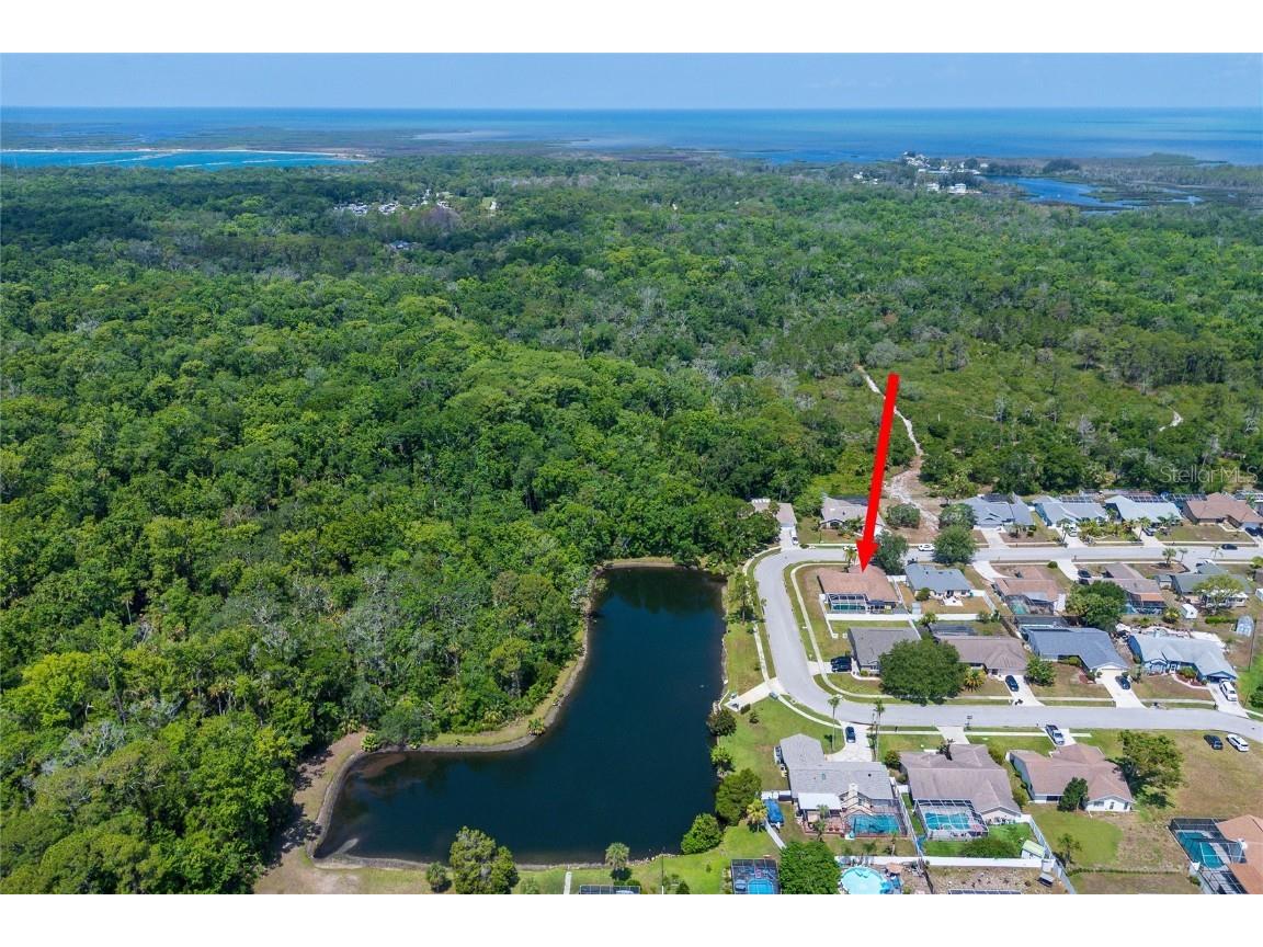 10149 Briar Circle Hudson FL 34667 TB8461836 image36