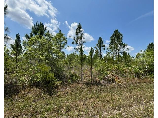 1015 Calliandra Drive Indian Lake Estates FL 33855 P4934859 image1