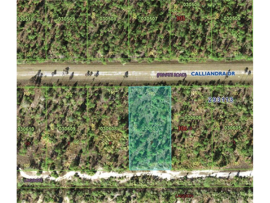 1015 Calliandra Drive Indian Lake Estates FL 33855 P4934859 image2