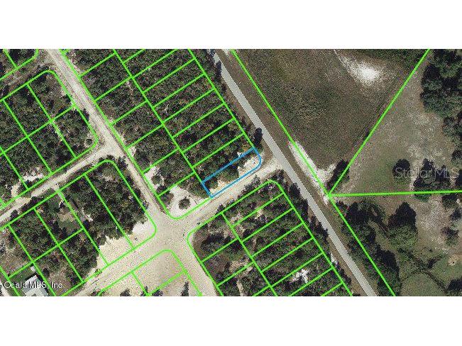 1015 Cr 29 Lake Placid FL 33852 OM542126 image1