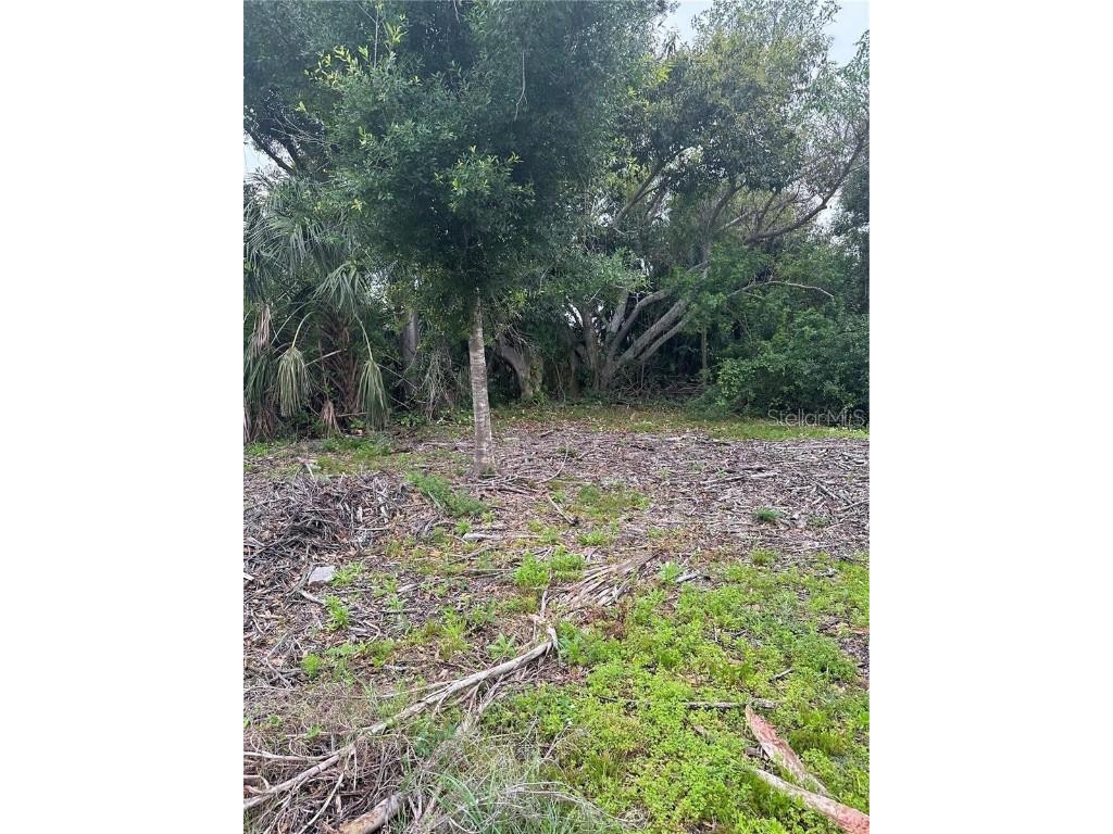 1015 Elm Street Punta Gorda FL 33950 N6142261 image3