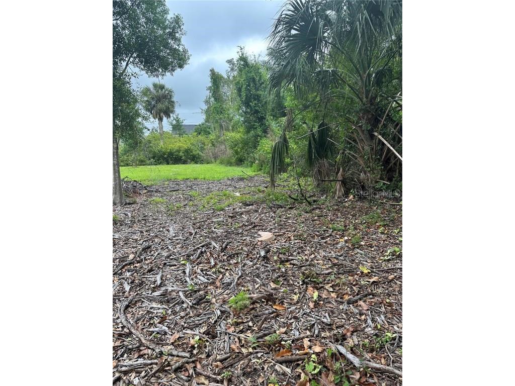 1015 Elm Street Punta Gorda FL 33950 N6142261 image4