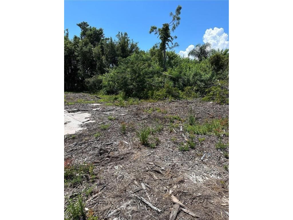 1015 Elm Street Punta Gorda FL 33950 N6142261 image7