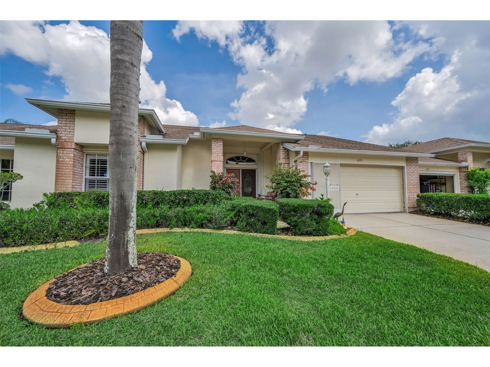 1015 Flora Vista Street Trinity FL 34655 W7886207 image1
