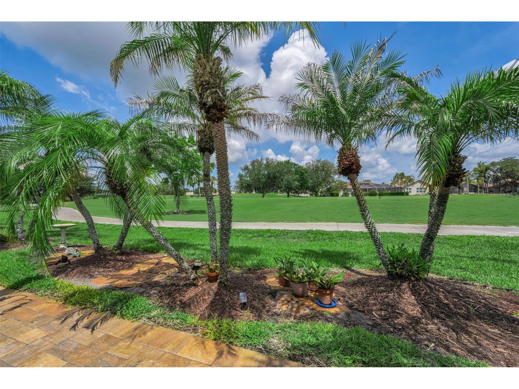 1015 Flora Vista Street Trinity FL 34655 W7886207 image22