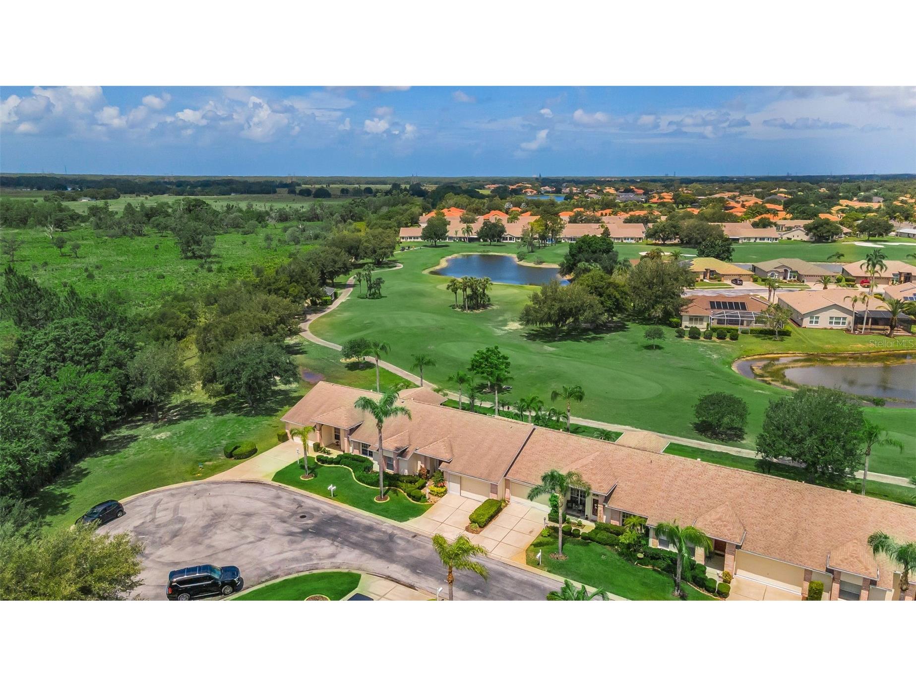 1015 Flora Vista Street Trinity FL 34655 W7886207 image4