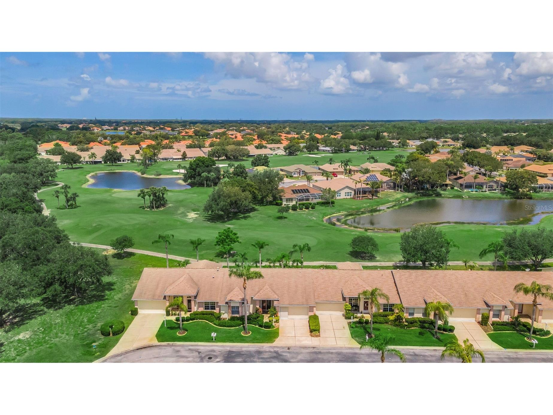 1015 Flora Vista Street Trinity FL 34655 W7886207 image61
