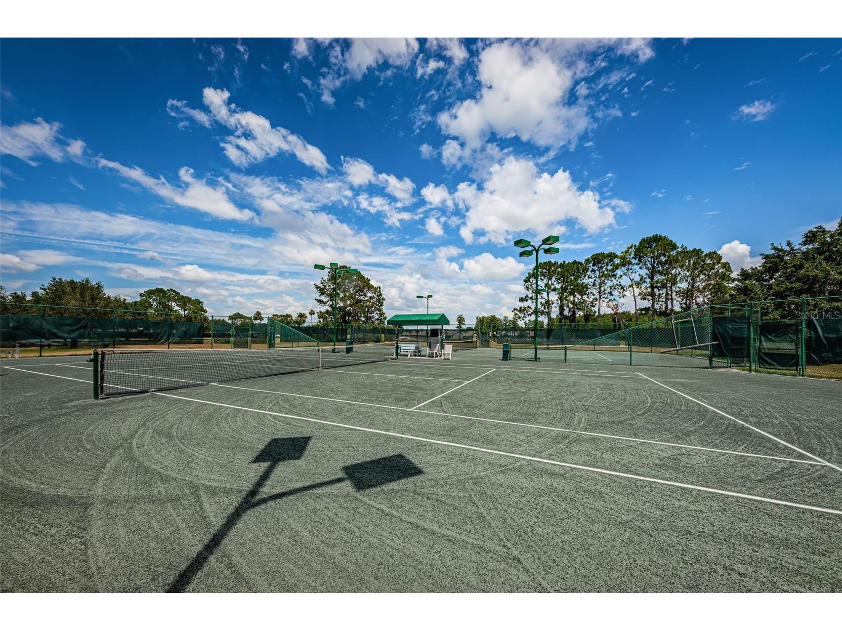 1015 Flora Vista Street Trinity FL 34655 W7886207 image81