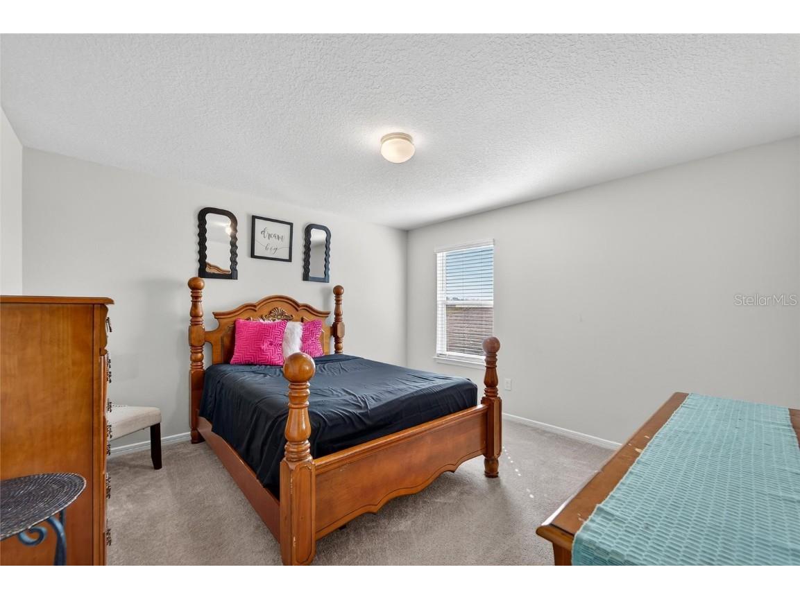 1015 Golden Shiner Avenue Ruskin FL 33570 TB8443909 image12