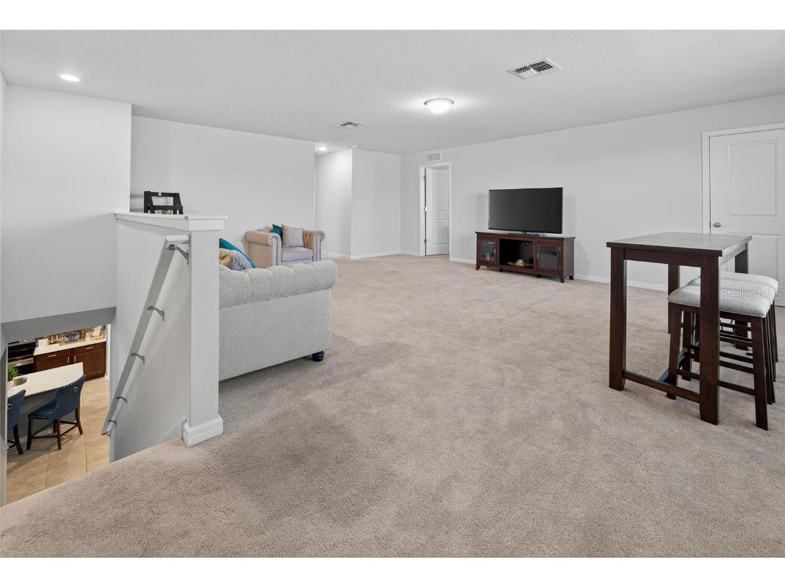 1015 Golden Shiner Avenue Ruskin FL 33570 TB8443909 image17