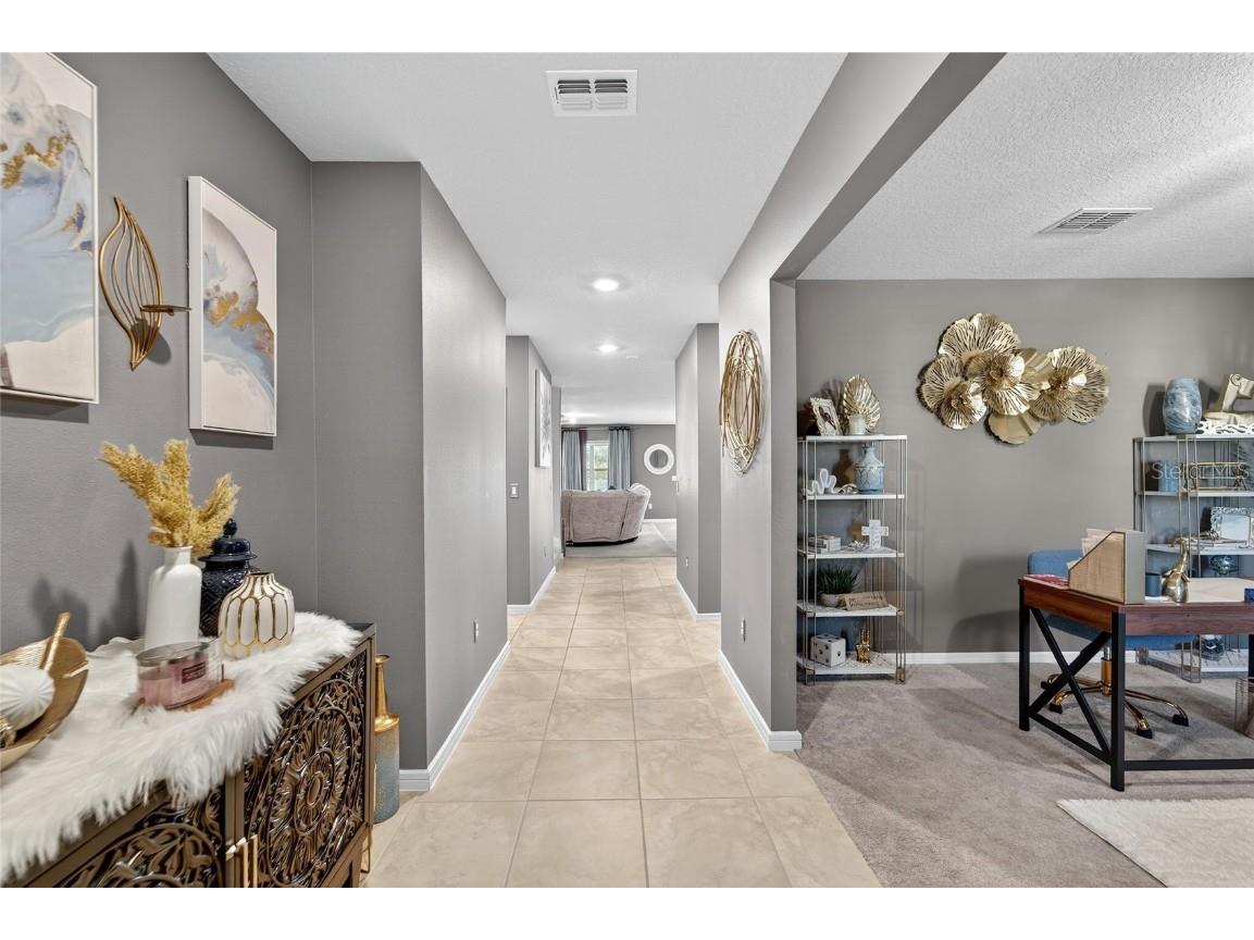 1015 Golden Shiner Avenue Ruskin FL 33570 TB8443909 image19