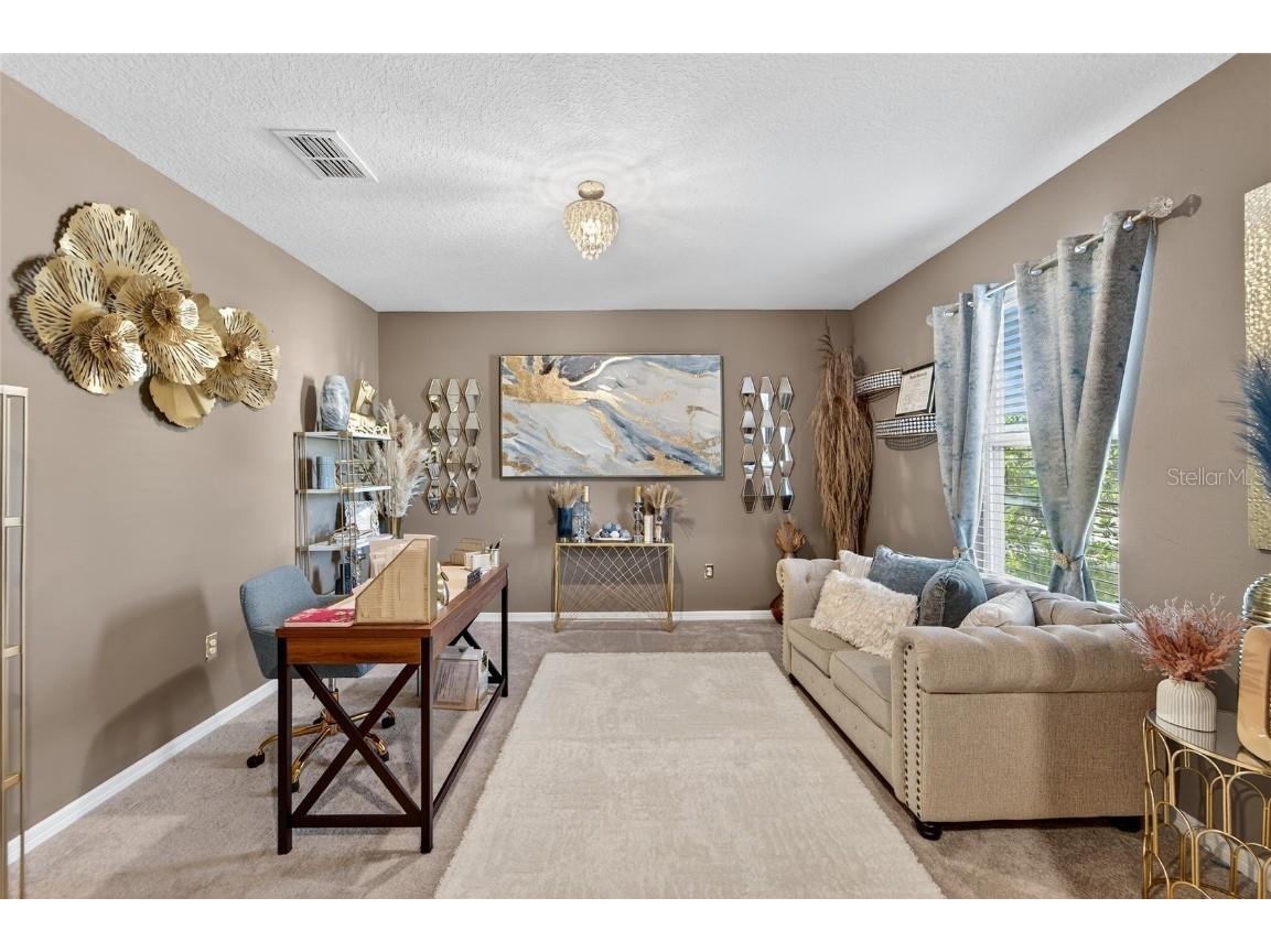 1015 Golden Shiner Avenue Ruskin FL 33570 TB8443909 image21