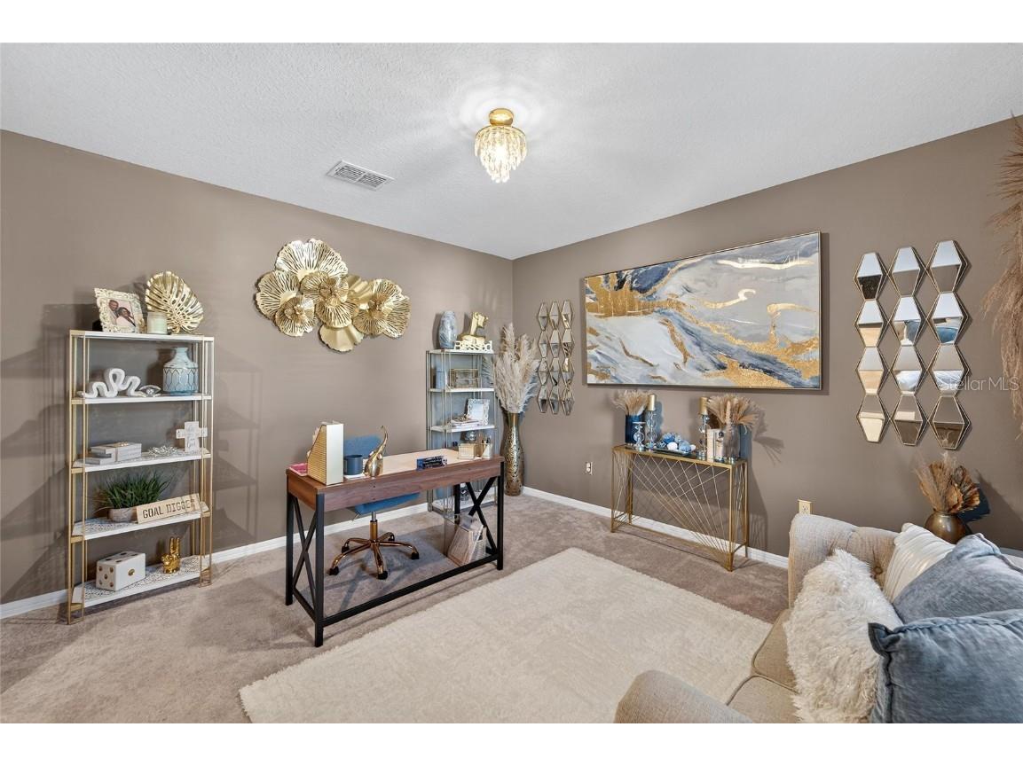 1015 Golden Shiner Avenue Ruskin FL 33570 TB8443909 image22