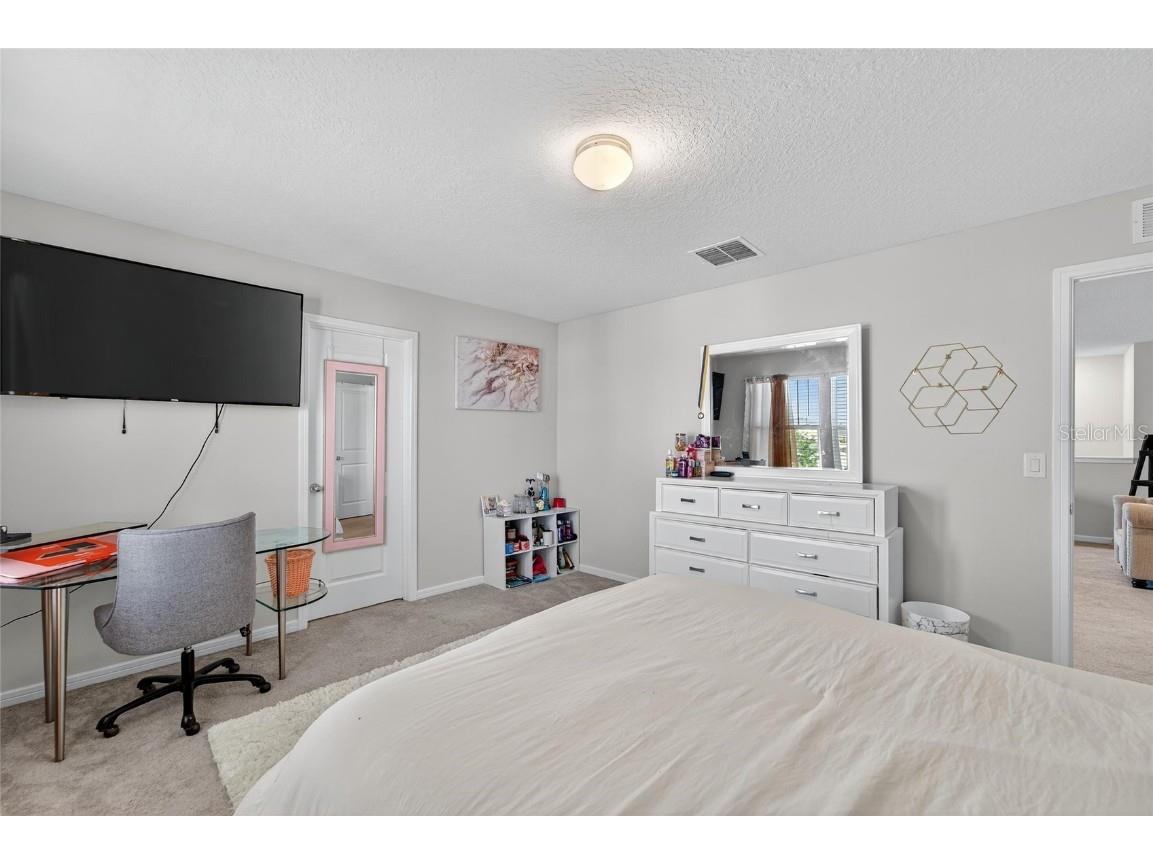 1015 Golden Shiner Avenue Ruskin FL 33570 TB8443909 image9