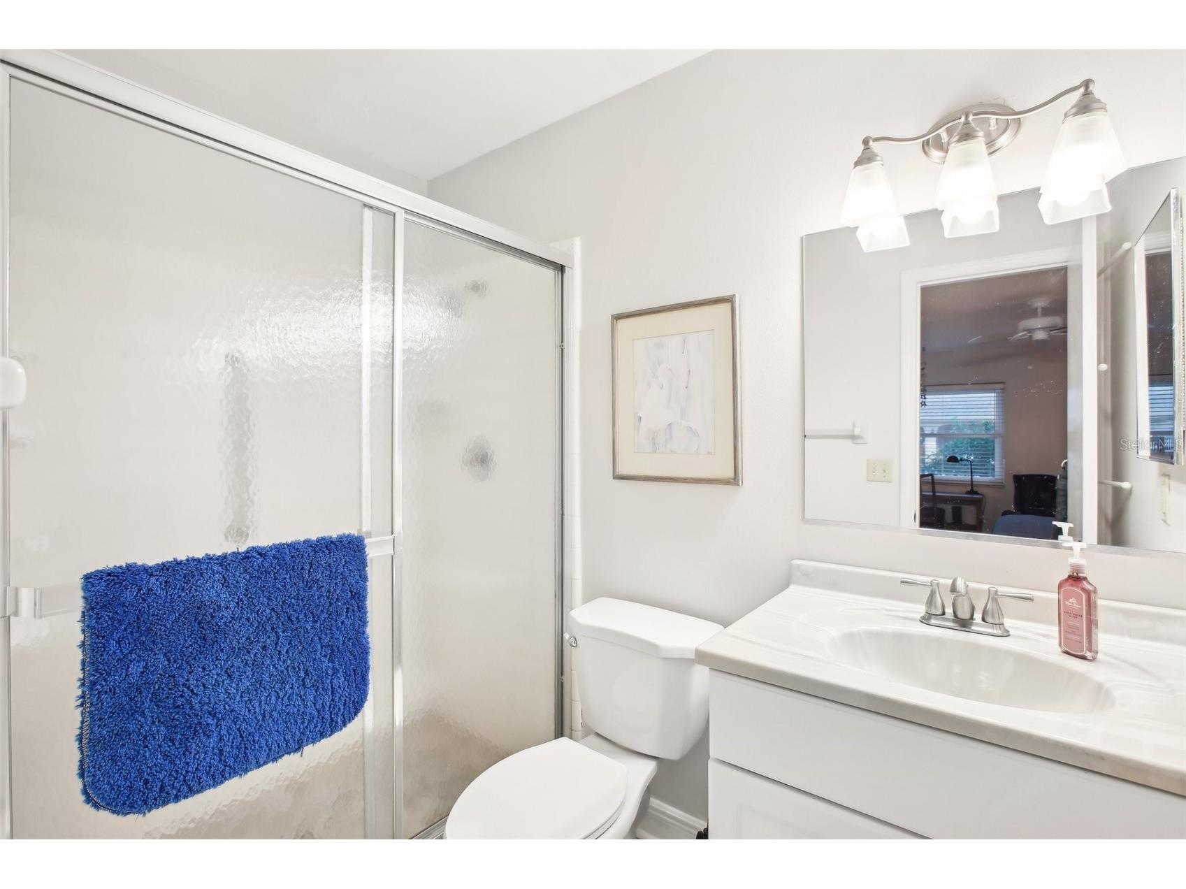 1015 Harefield Circle Sun City Center FL 33573 TB8477852 image20