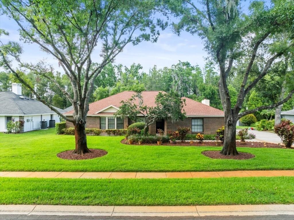 1015 Hastings Court Lutz FL 33548 TB8398586 image1