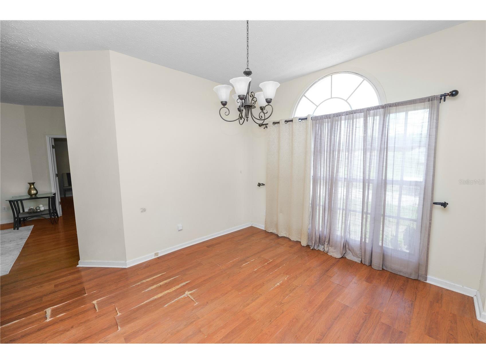 1015 Hidden Drive Lakeland FL 33809 L4962265 image8