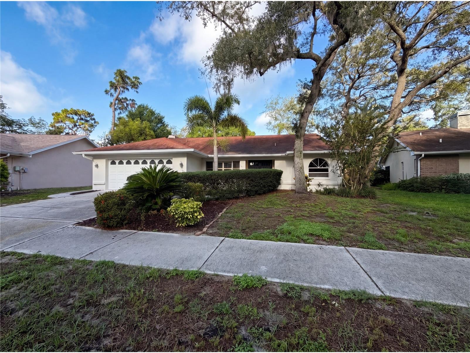 1015 Knollwood Court Safety Harbor FL 34695 O6412226 image1
