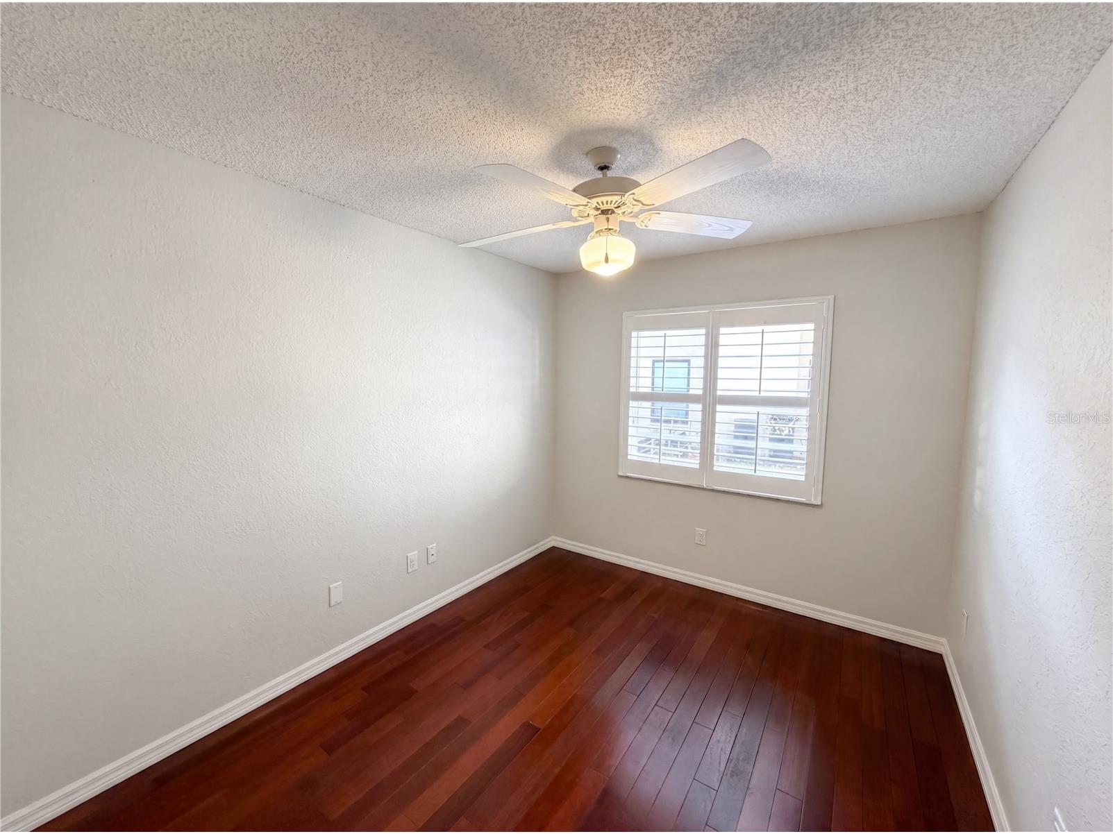 1015 Knollwood Court Safety Harbor FL 34695 O6412226 image19