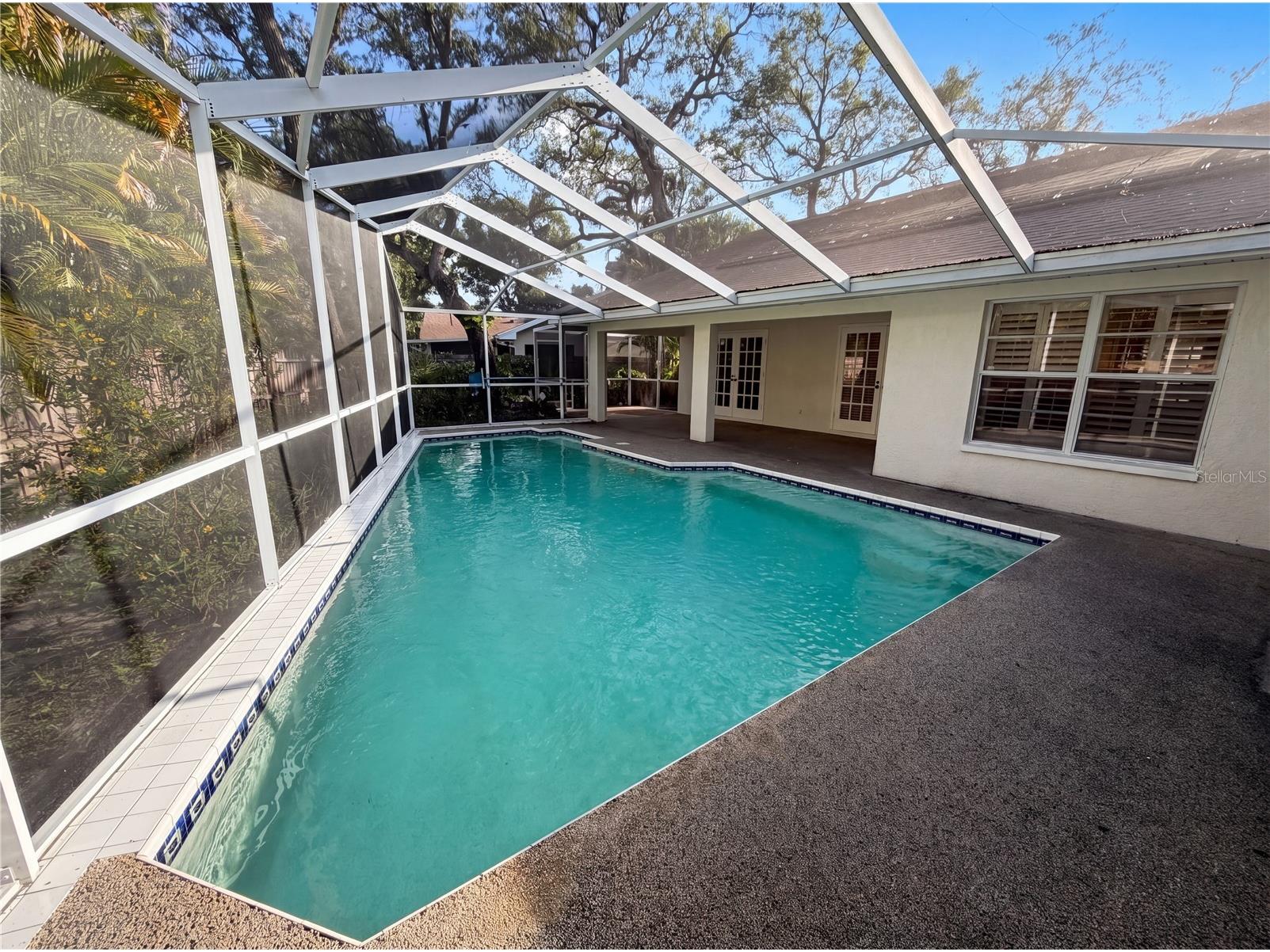 1015 Knollwood Court Safety Harbor FL 34695 O6412226 image39