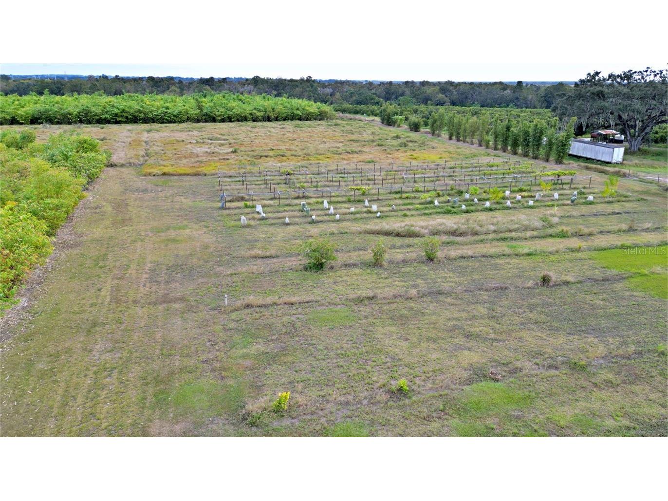 1015 Mount Pisgah Road Fort Meade FL 33841 P4937087 image11