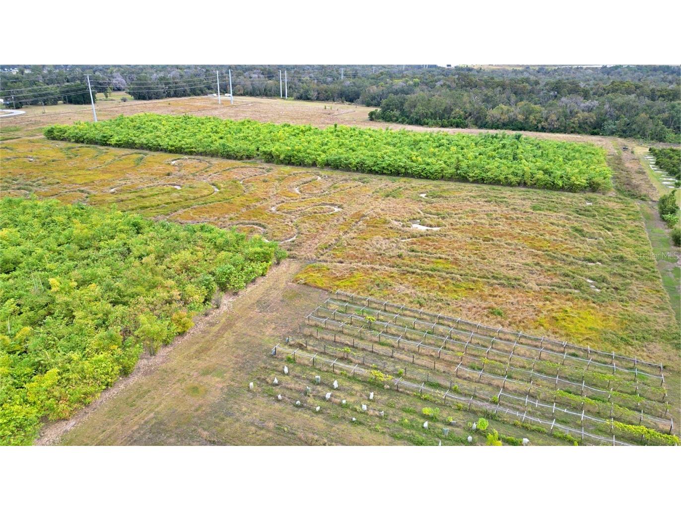 1015 Mount Pisgah Road Fort Meade FL 33841 P4937087 image12