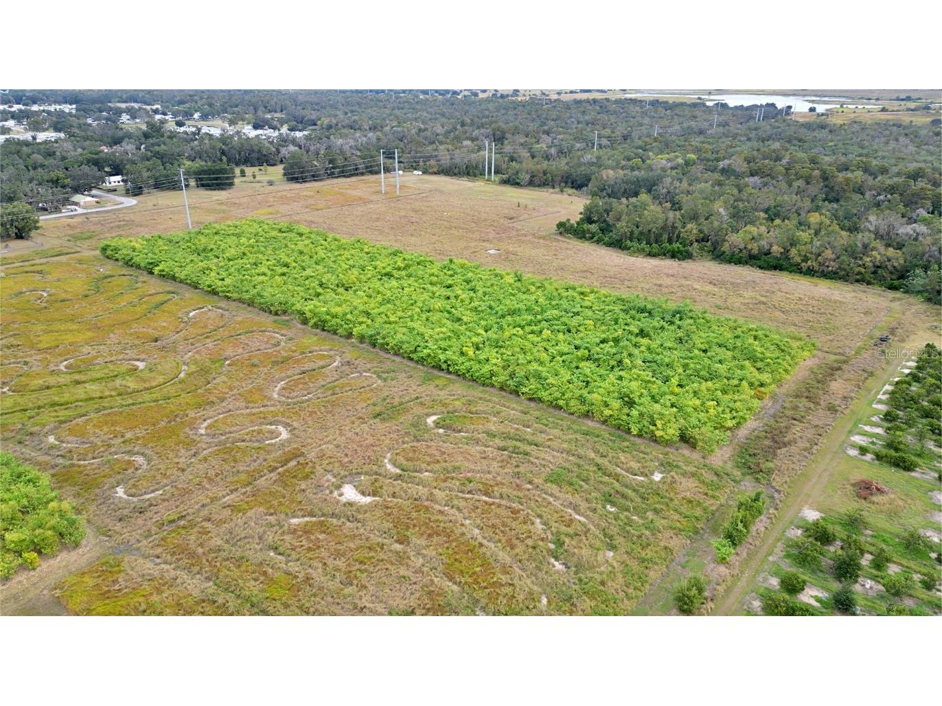 1015 Mount Pisgah Road Fort Meade FL 33841 P4937087 image13