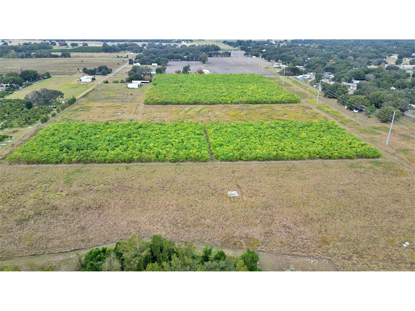 1015 Mount Pisgah Road Fort Meade FL 33841 P4937087 image15