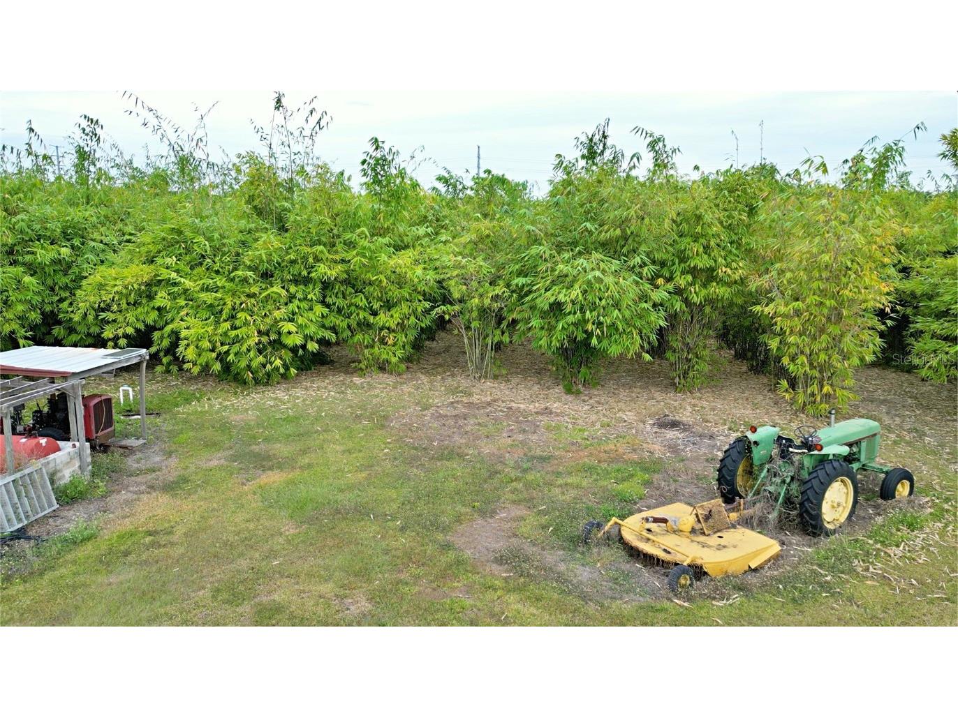 1015 Mount Pisgah Road Fort Meade FL 33841 P4937087 image18