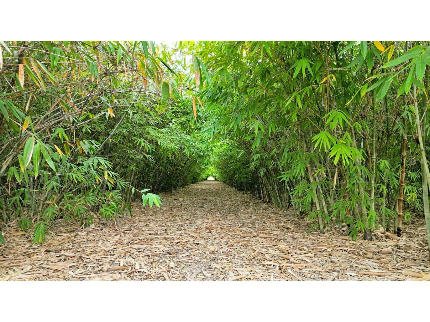 1015 Mount Pisgah Road Fort Meade FL 33841 P4937087 image19