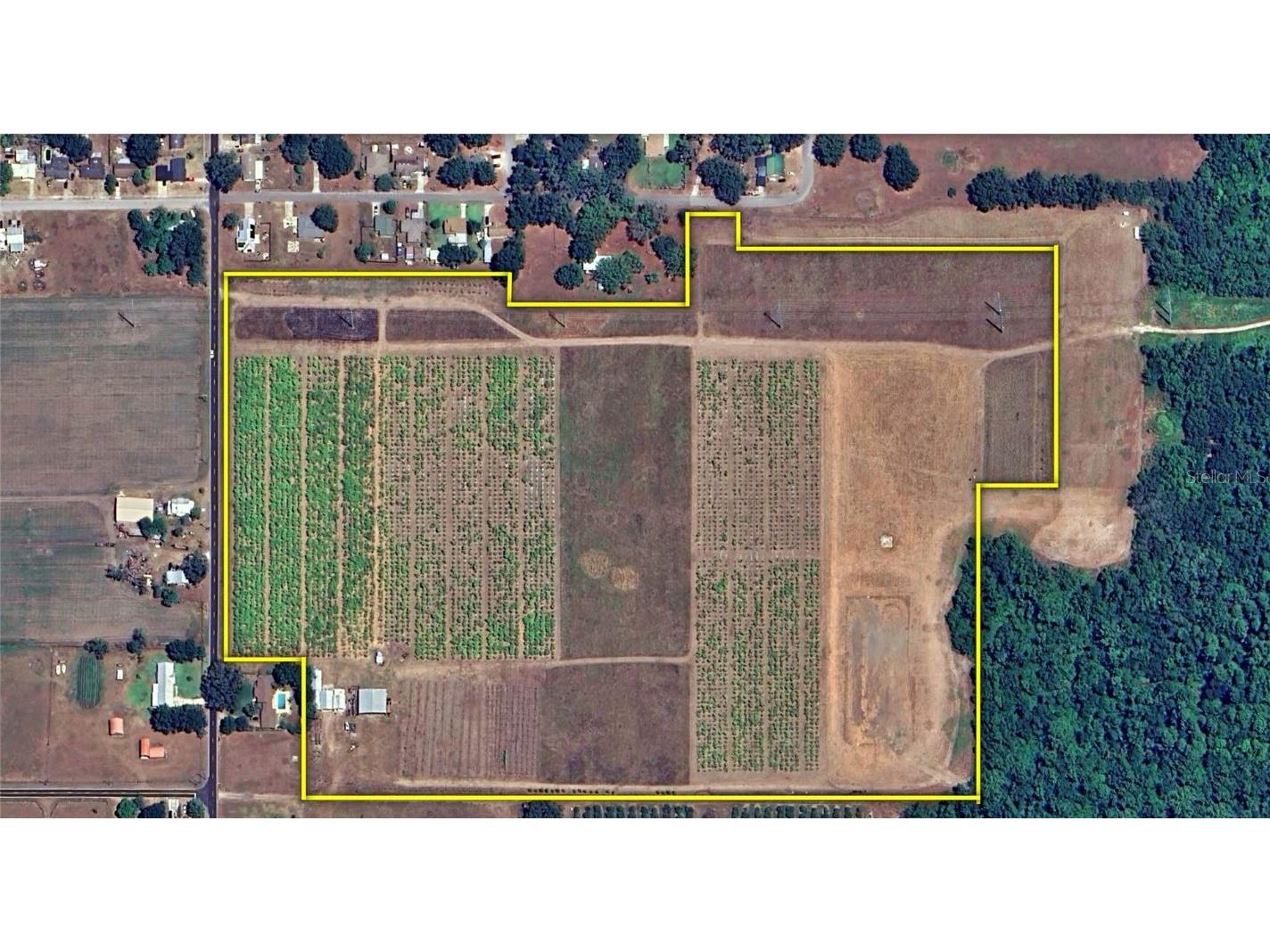 1015 Mount Pisgah Road Fort Meade FL 33841 P4937087 image2